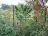 DSCF0360.jpg
