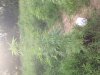 IMG_0100.jpg IMG_0100.jpg