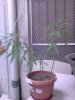 Photo-0017.jpg