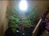 IMG-20120727-01867.jpg