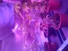 IMG-20120815-01905.jpg