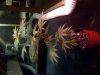 IMG-20120824-01949.jpg