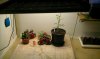 IMAG0117.jpg
