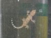 baby tokay 001.jpg