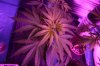 IMG_5796small.jpg