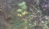IMAG0357.jpg