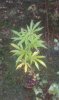 IMAG0356.jpg