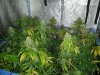 20120825_123153.jpg