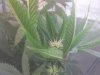 20120825_193508.jpg 20120825_193508.jpg