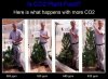 CO2.JPG