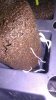IMAG0369.jpg