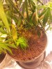 20120828_221357.jpg
