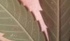 20120828_161505.jpg