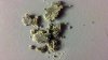 2012-05-09_21-46-19_566.jpg 2012-05-09_21-46-19_566.jpg