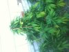 IMG_2112.JPGqqq2.jpg