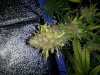 20120829_180649.jpg