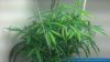 2012-08-27_19-45-42_108.jpg 2012-08-27_19-45-42_108.jpg