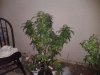 2012-08-29 23.04.07.jpg