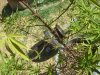 DSCF3807.jpg