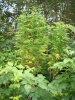 101_3908.jpg 101_3908.jpg