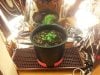 20120830_152521.jpg 20120830_152521.jpg