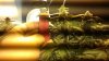 BAG SEED BIC LIGHTER.jpg
