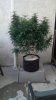 2012-08-24_18-23-05_139.jpg
