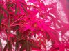 Party Grow 10 011.jpg