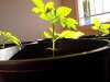 20120901_163330.jpg