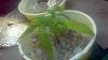 2012-09-01_21-03-07_560.jpg