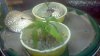 2012-09-01_21-03-15_204.jpg