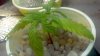 2012-09-01_21-04-02_96.jpg