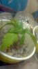 2012-09-01_21-04-08_847.jpg