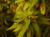 420 014.jpg