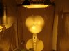 DSC01132.jpg