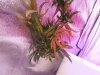 20120902_114603.jpg