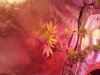 20120902_114620.jpg