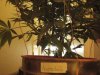 Grow Room 024.jpg