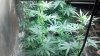 2012-09-03_15-50-04_810.jpg