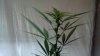 2012-09-03_16-08-20_724.jpg