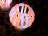 bulb.jpg