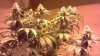 2012-07-27_22-19-41_161.jpg
