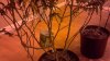 2012-08-17_02-28-44_634.jpg