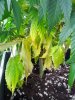 IMG_20120906_082923.jpg