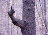 http-inlinethumb36.webshots.com-41955-2176156560103582665S425x425Q85.jpg