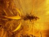 20120805_214300.jpg 20120805_214300.jpg