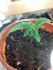 2012-09-06_08-44-57_857.jpg