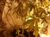 20120907_221755.jpg