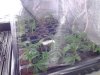20120908_085442.jpg 20120908_085442.jpg