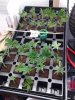 20120908_112228.jpg 20120908_112228.jpg